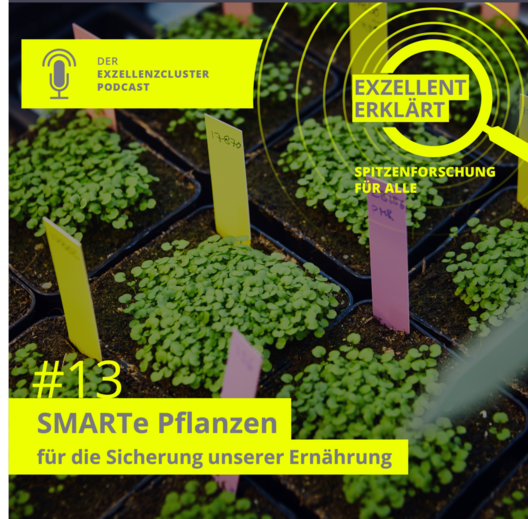 Episode 13 »Exzellent Erklärt«. Copyright: CEPLAS
