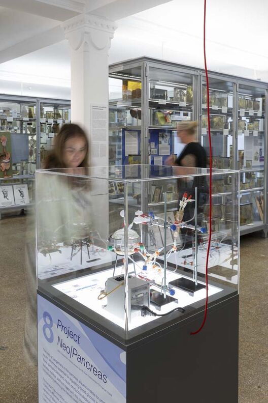 Vessels. Infrastructures of Life, Exhibition, Igor Sauer, Navena Widulin, Berliner Medizinhistorisches Museum, ＿matter Festival 2025. Photo: Michelle Mantel 
