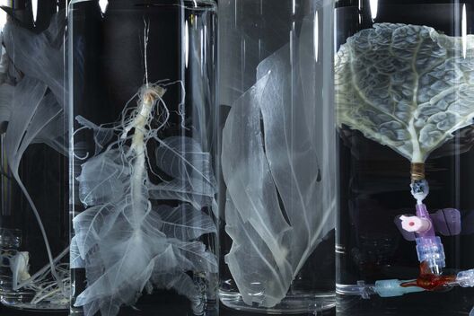 Vessels. Infrastructures of Life, Exhibition, Igor Sauer, Navena Widulin, Berliner Medizinhistorisches Museum, ＿matter Festival 2025. Photo: Michelle Mantel 
