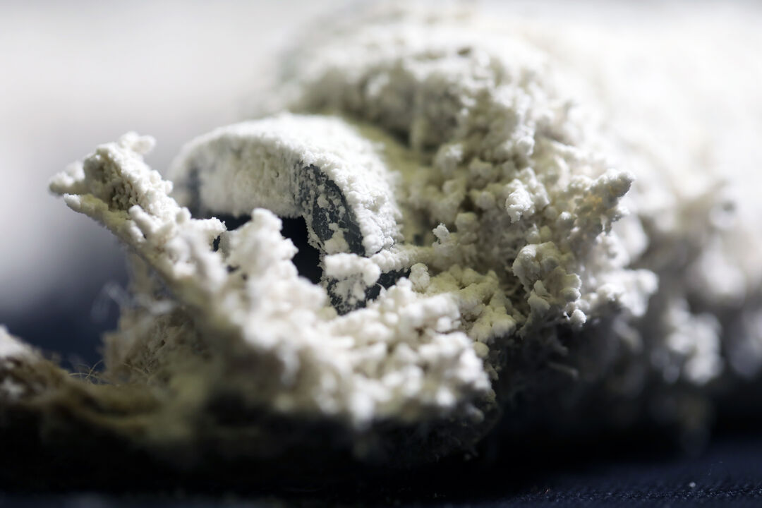 Workshop on Biocalcification led by Bastian Beyer and Daniel Suarez at the École Nationale des Arts Décoratifs Paris, March 2022. Copyright: Daniel Suarez
