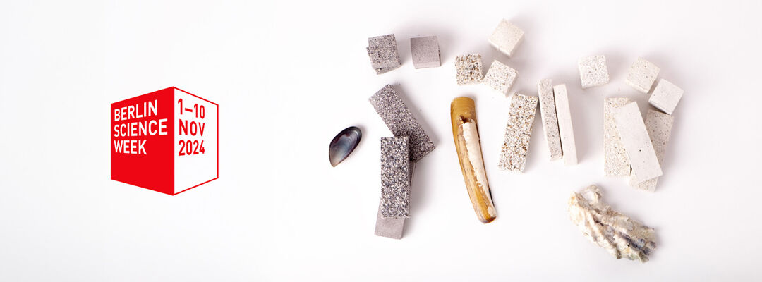 Samples from the CONQ project, 2024. Copyright: Angie Dub and Heidi Jalkh
