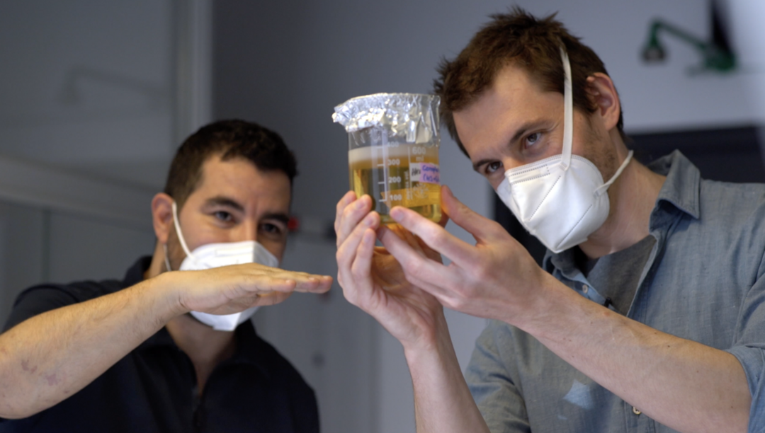 Still from Interview with Bastian Beyer and Skander Hathroubi showing the making of parts of the »Active Curtain Project« shown at the exhibition »After Nature« at Humboldt Lab. Copyright: Anne von Petersdorff (info@annevonpetersdorff.com) for Humboldt-Universität zu Berlin
