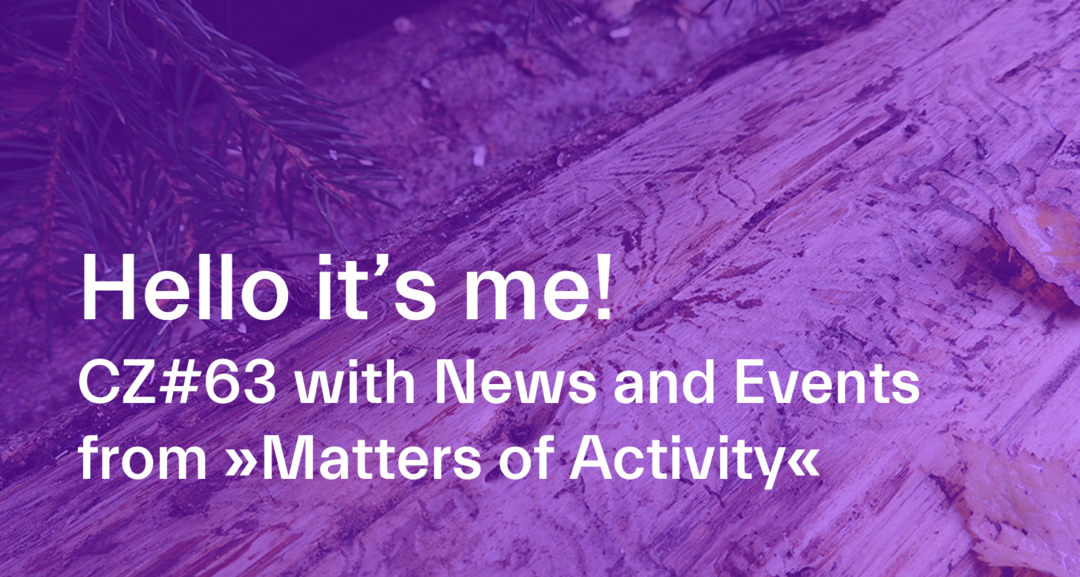 Beetle Galleries in Spruce Wood. Photo: Pelin Asa, Max Planck Institute of Colloids and Interfaces, Matters of Activity, 2024
