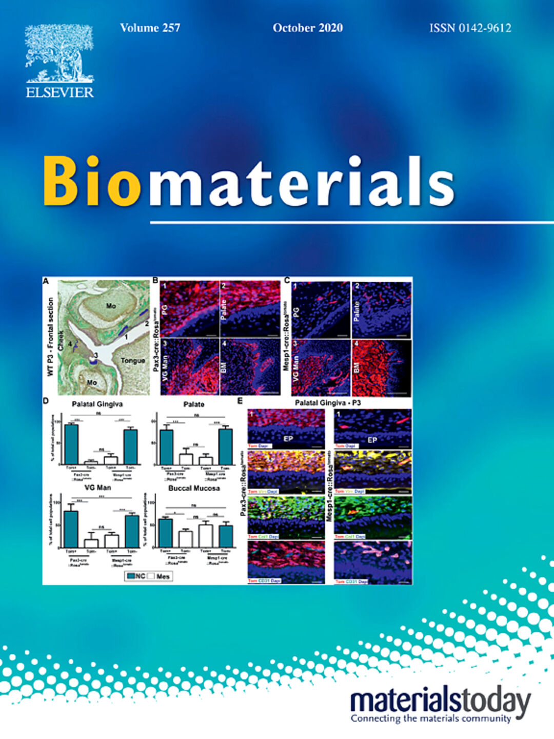Biomaterials, Vol. 257, October 2020. Copyright: Elsevier
