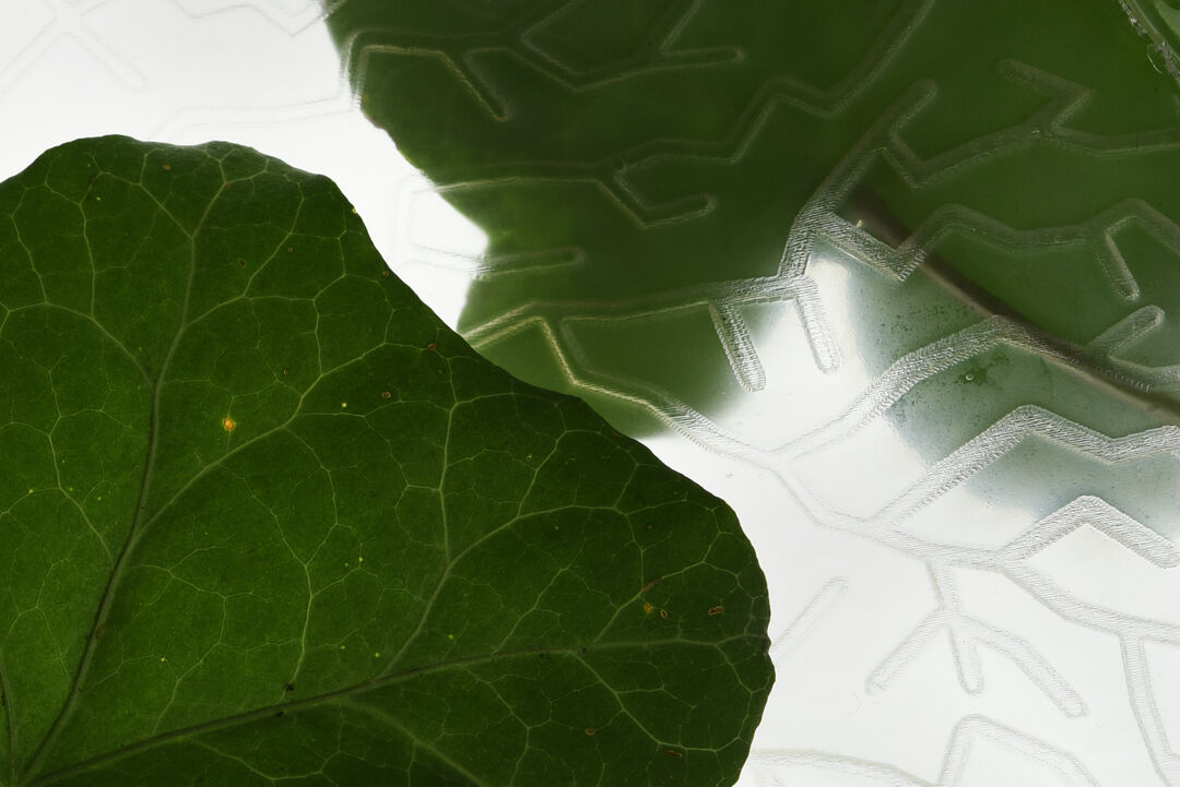 Gestalten mit Cellulose, Wasser und Luft. Copyright: Eva Bullermann
