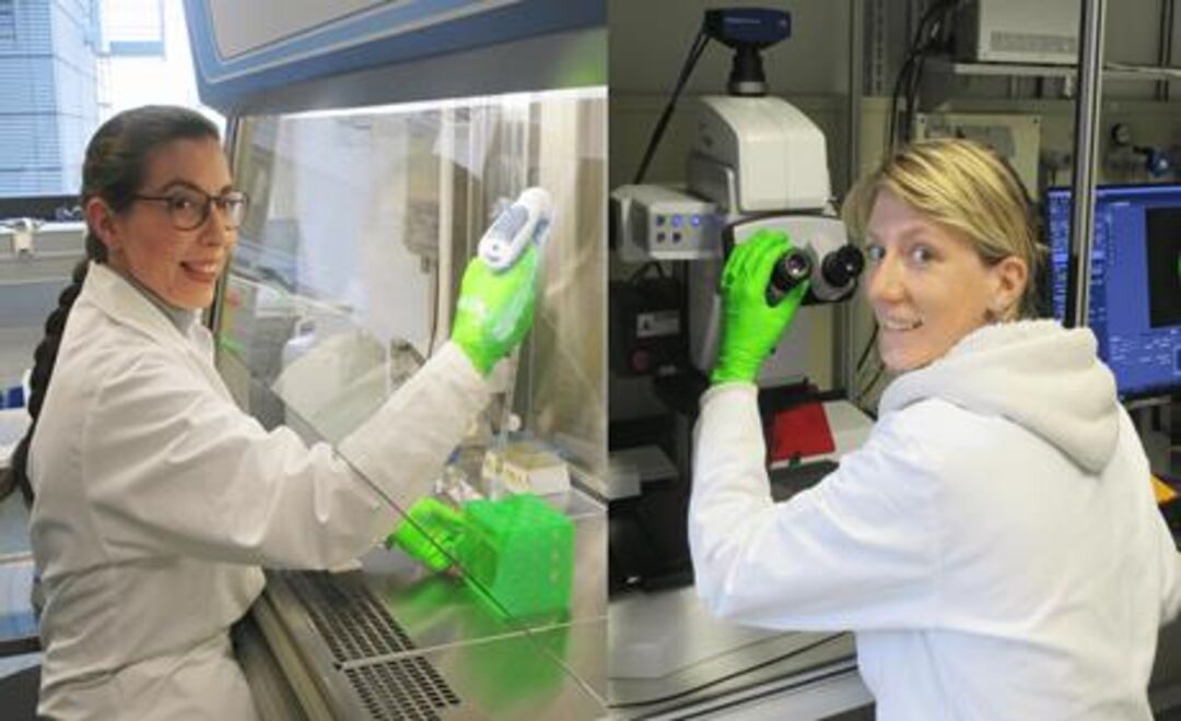 From left to right: Dr. Laura Zorzetto, Dr. Cécile Bidan from the Biomaterials Department at the Max Planck Institute of Colloids and Interfaces in the laboratory. Copyright: Max Planck Institute of Colloids and Interfaces
