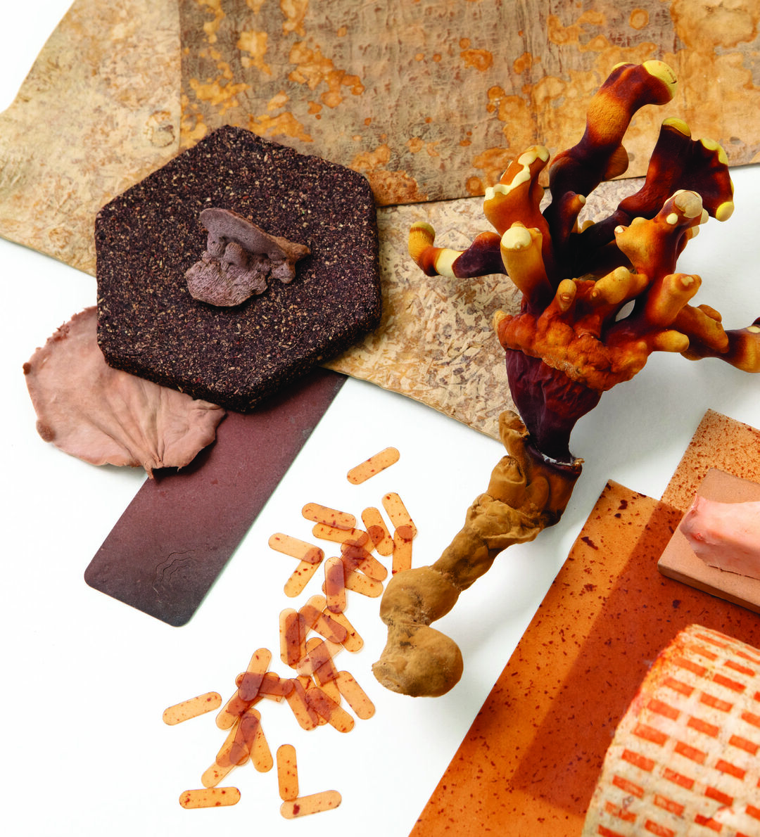 TRAZOS Edición Biomateriales, 2024, Gisela Pozzetti, Heidi Jalkh, Sistemas Materiales. Photo: Maia Croizet
