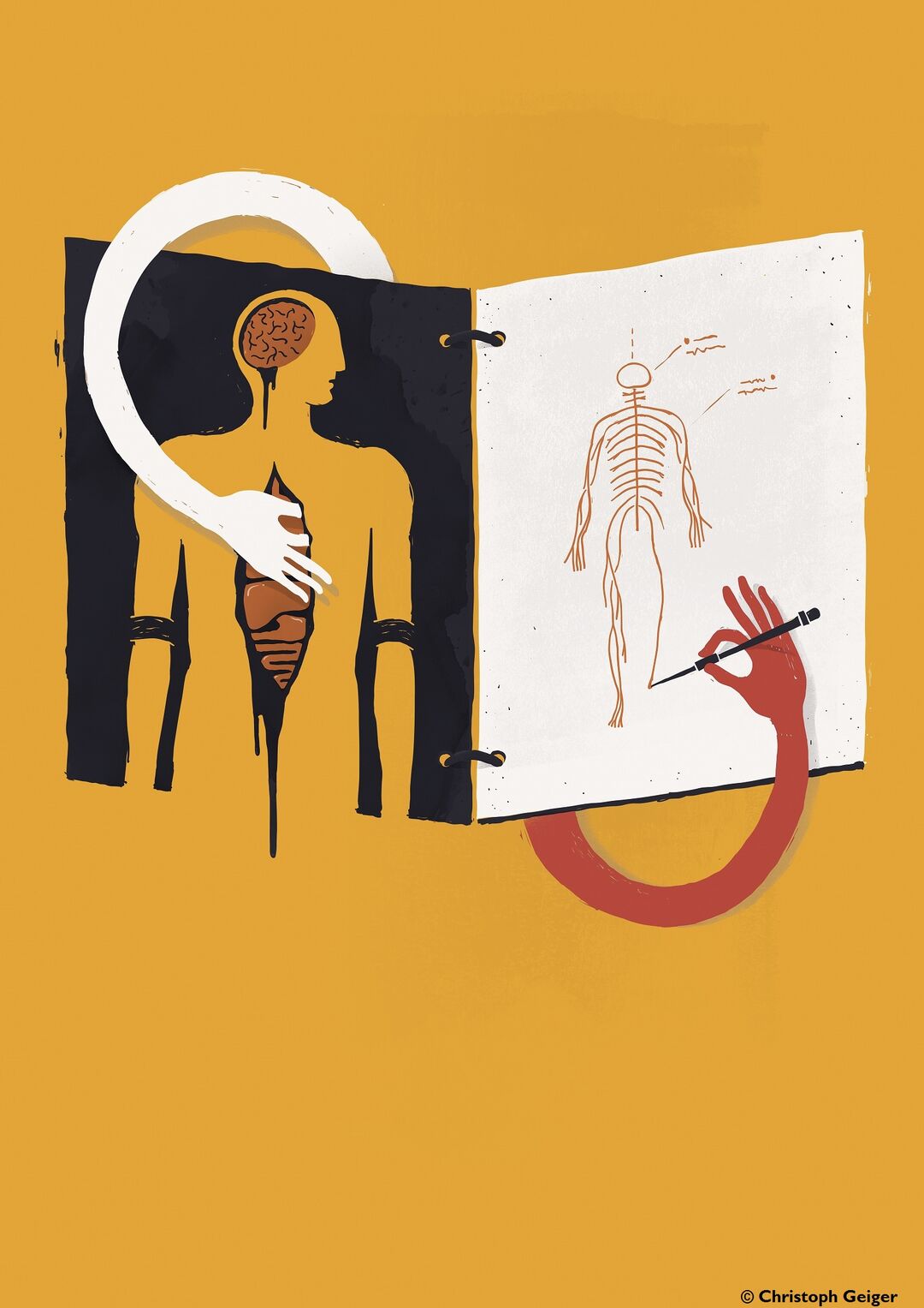 »Dissection as a method of discovery« from the exhibition »The soul is an Octopus - Ancient Ideas of Life and the Body«. Copyright: Christoph Geiger
