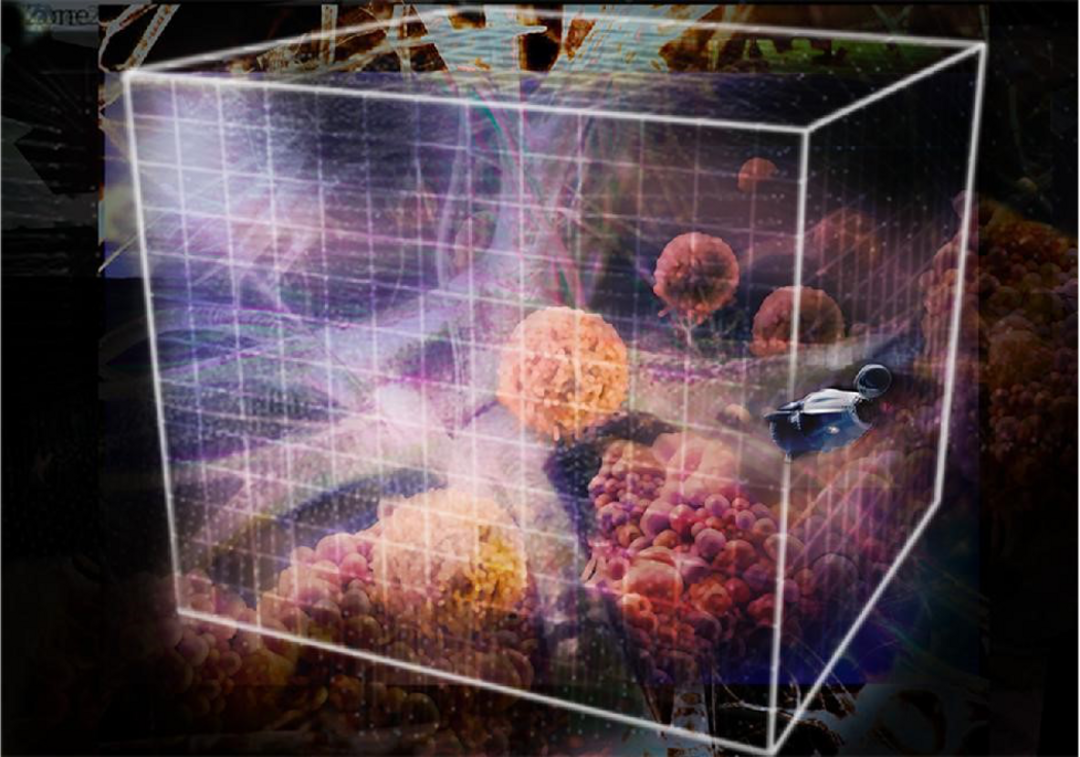 Fantastic Voyage 2021. Copyright: Congress of Neurological Surgeons 2021
