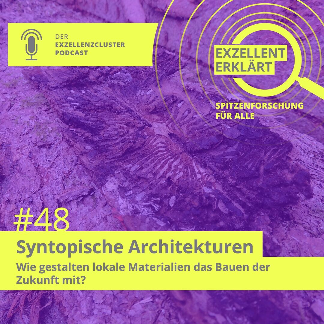 Folgenbild Syntopische Architekturen, 2024. Käferbefallenes Fichtenholz, Foto: Pelin Asa, MPIKG, adaptiert von MoA.
