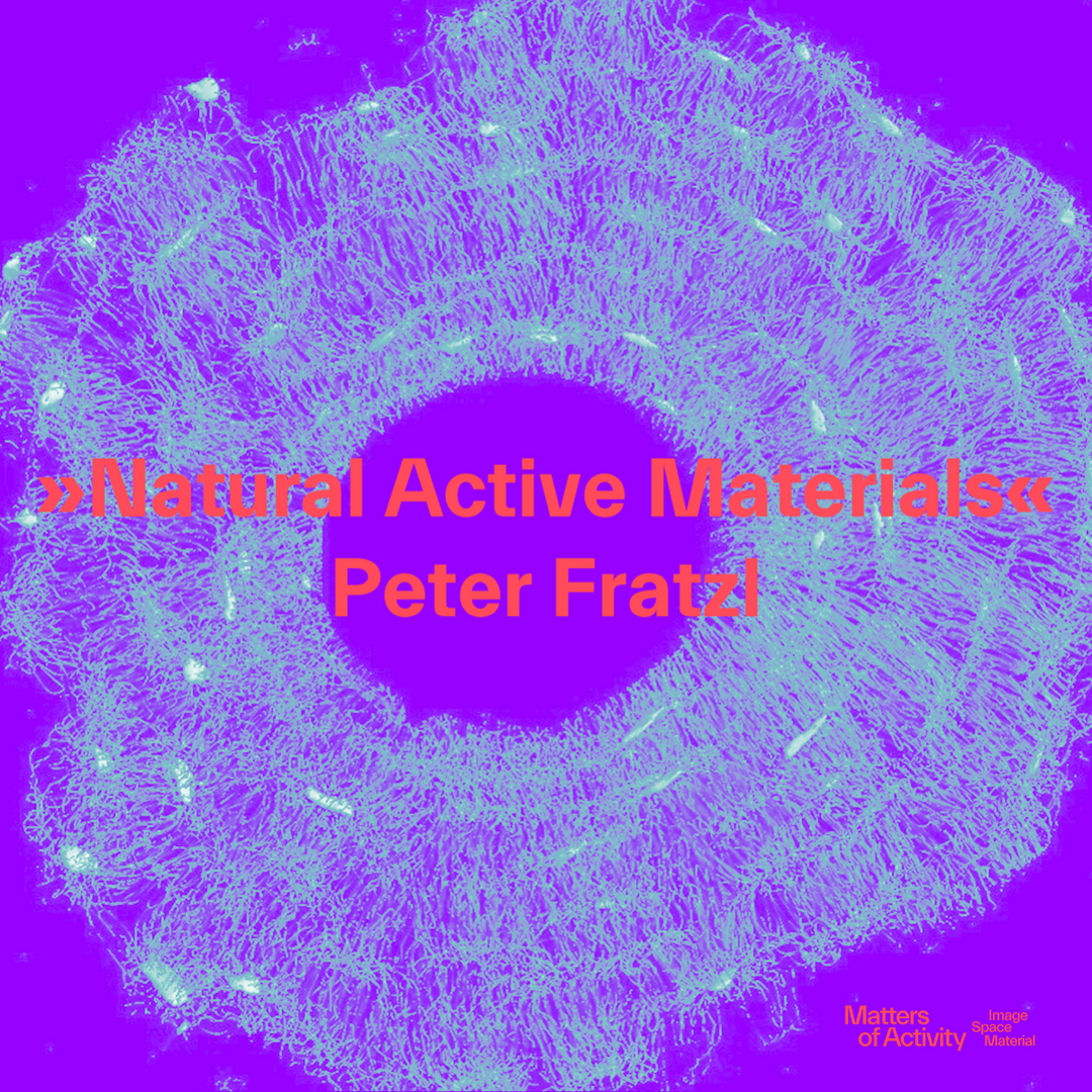 Visualization of the cellular network inside a compact bone. Copyright: Andreas Roschger & Richard Weinkamer, Max Planck Institute of Colloids and Interfaces
