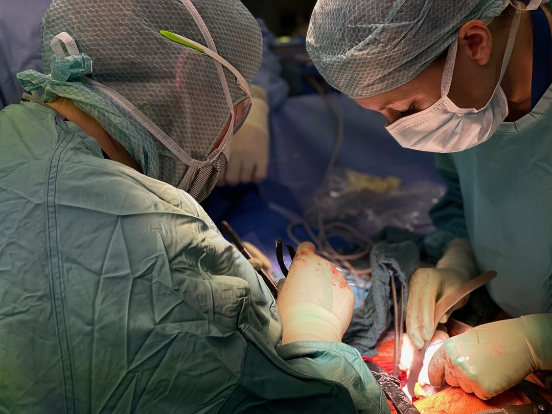 Organ transplantation. Photo: Igor Sauer 
