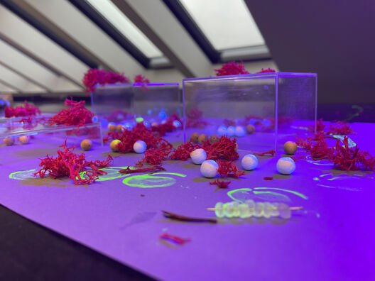 Workshop »Revealing Traces« by Dr. Linda Hirsch, 2023, Foto: Sybille Neumeyer
