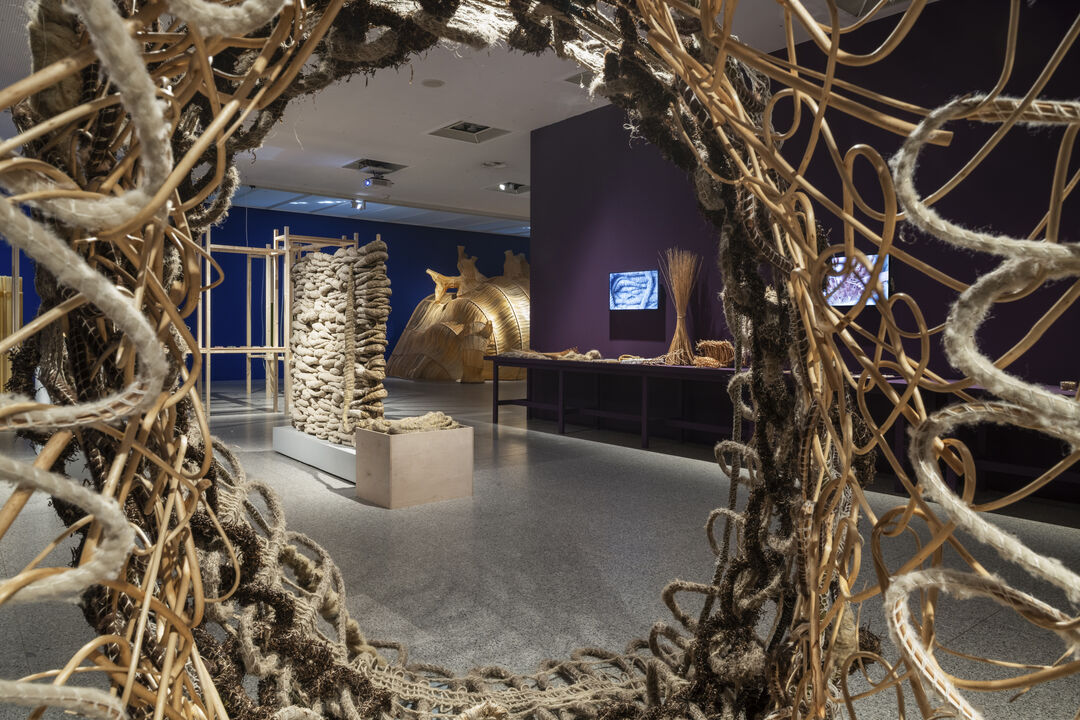 Ausstellungsansicht, WEtransFORM, Foto: David Ertl, 2025 © Kunst- und Ausstellungshalle der Bundesrepublik Deutschland
