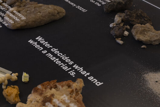 Latent Accumulations, Exhibition, Léa Perraudin, Iva Rešetar, Tieranatomisches Theater, ＿matter Festival 2025. Photo: Michael Pfisterer
