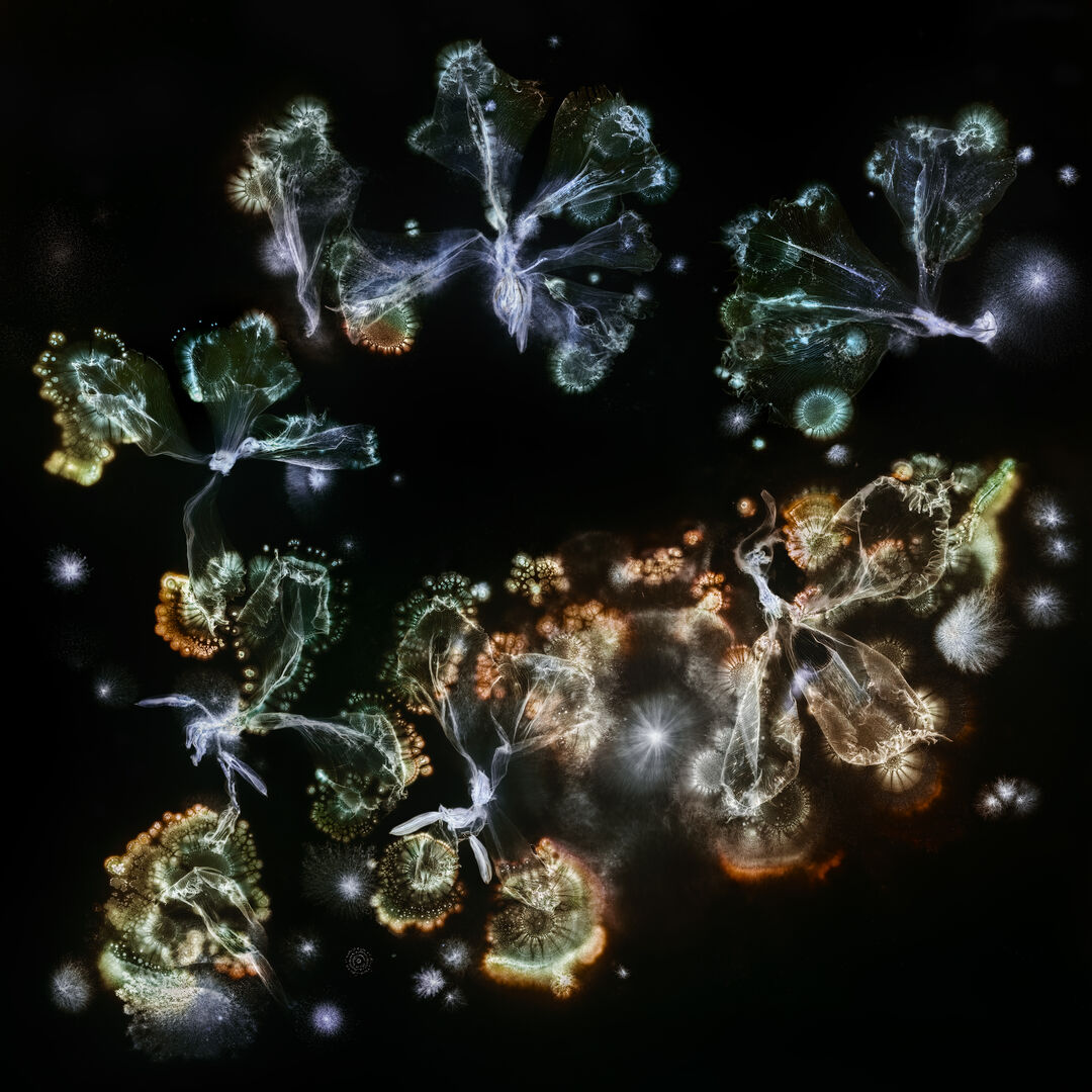 Microverse III-3, 2025 © Kathrin Linkersdorff
