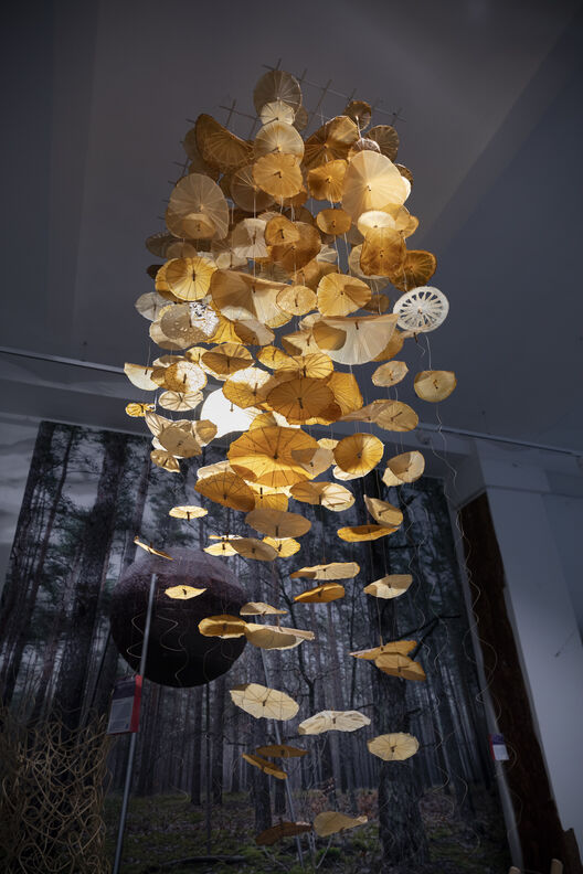 MoA Activarium. Copyright: Matters of Activity
