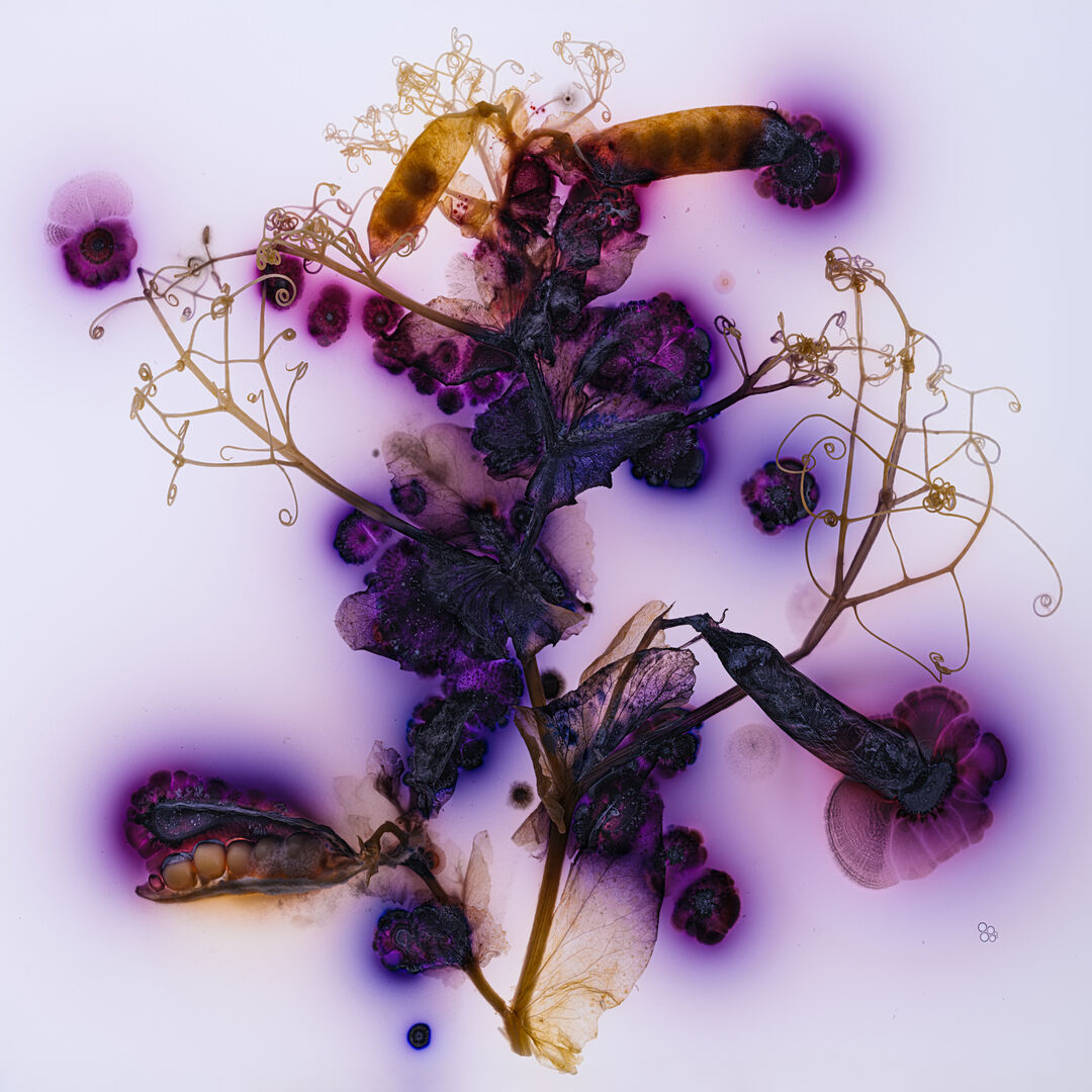 Microverse I-6, 2023. Copyright: Kathrin Linkersdorff
