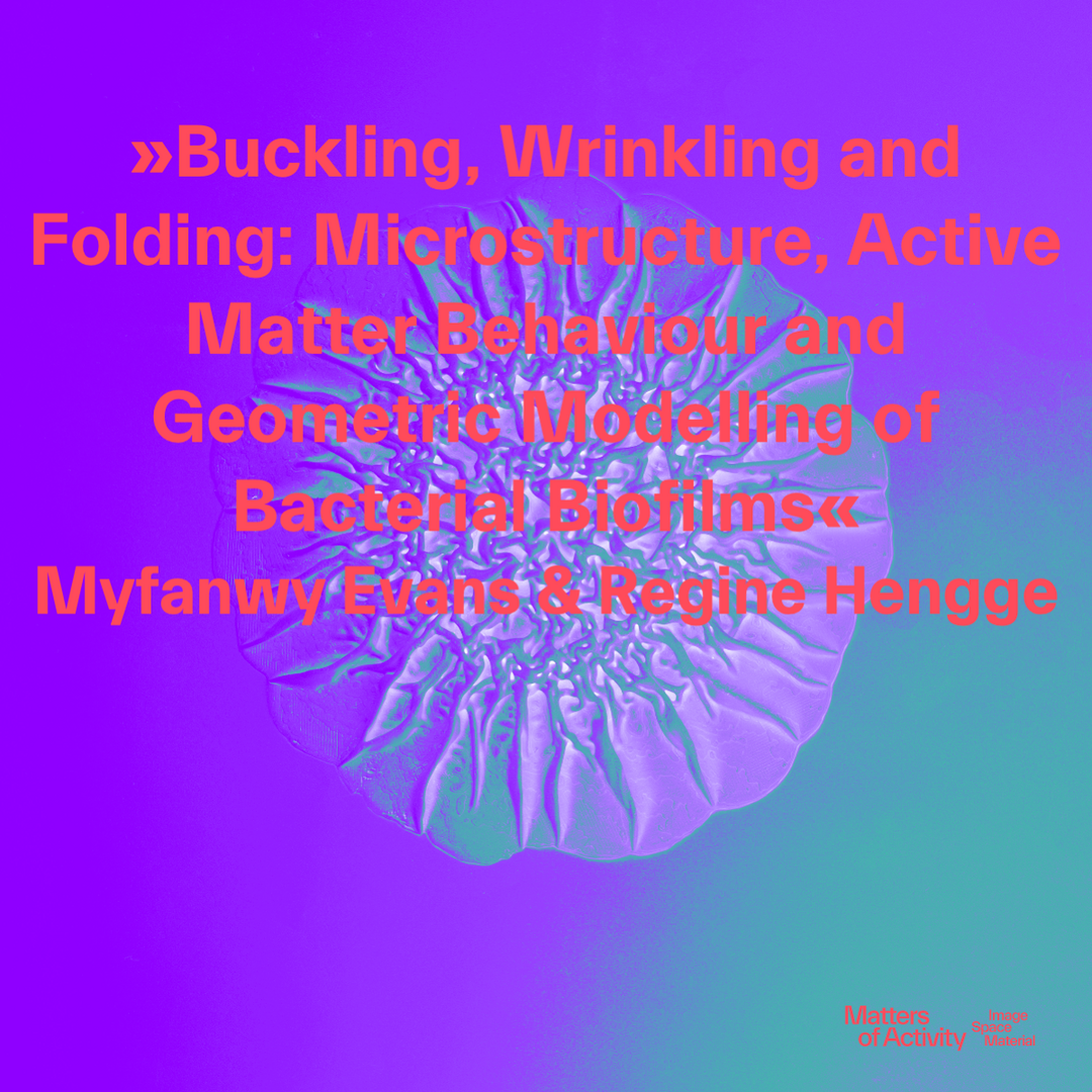 Biofilm. Copyright: Matters of Activity
