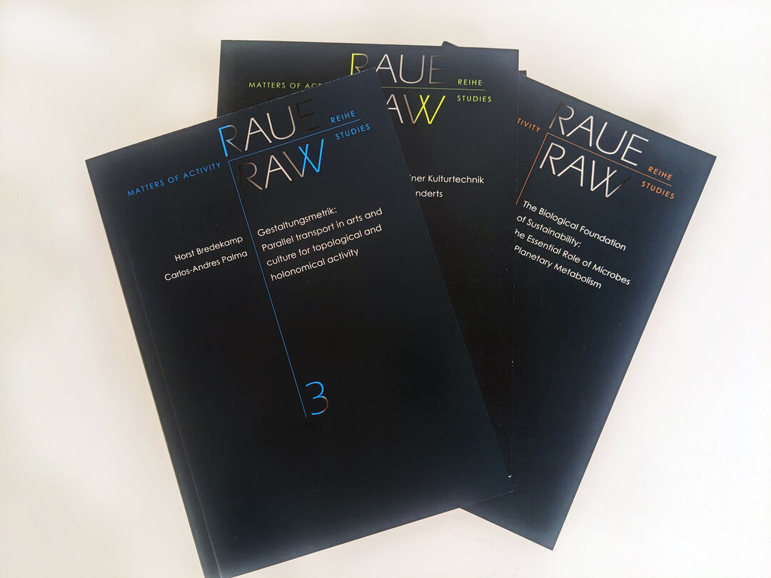 Raue Reihe / Raw Studies, the first three editions, 2024-5. Copyright: Matters of Activity
