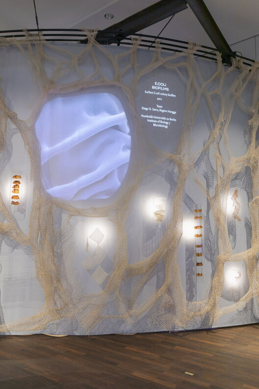 »Active Curtain Project« at the exhibition »After Nature« at Humboldt Lab. Copyright: Matters of Activity, Humboldt-Universität zu Berlin
