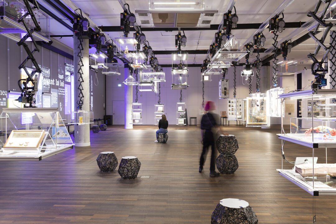 »Stone Web« (Design: Idalene Rapp and Natasha Unger) at the exhibition »After Nature« at Humboldt Labor. Copyright: Matters of Activity, Humboldt-Universität zu Berlin | Research Wall »Scripts«. Copyright: schnellebuntebilder | Exhibition Architecture. Copyright: Inside Outside | Petra Blaisse
