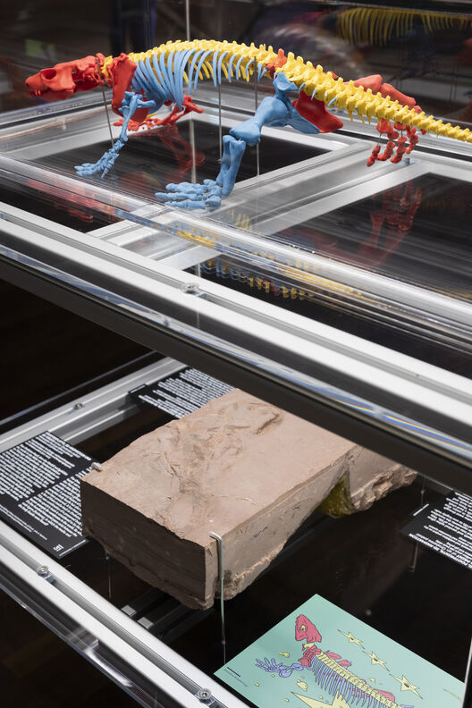 »Orobates pabsti« by John Nyakatura at exhibition »After Nature« at Humboldt Lab. Copyright: Matters of Activity, Humboldt-Universität zu Berlin | Lender: Stiftung Schloss Friedenstein Gotha
