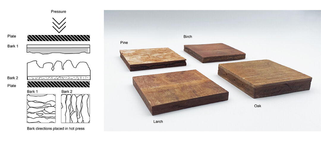 Schematic representation of the pressing process, right: ready pressed bark panels. Copyright: cc-by 4.0 PLOS ONE
