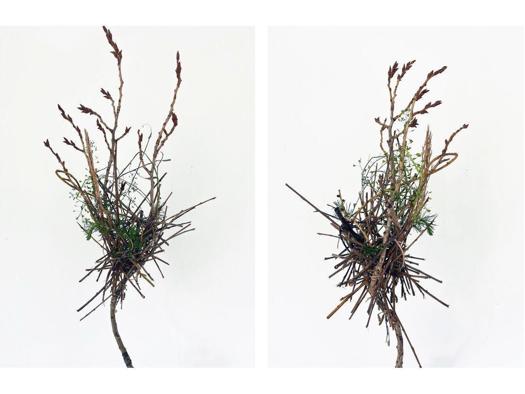 Syntopia. Copyright: Jihae Lee, weißensee school of art and design berlin
