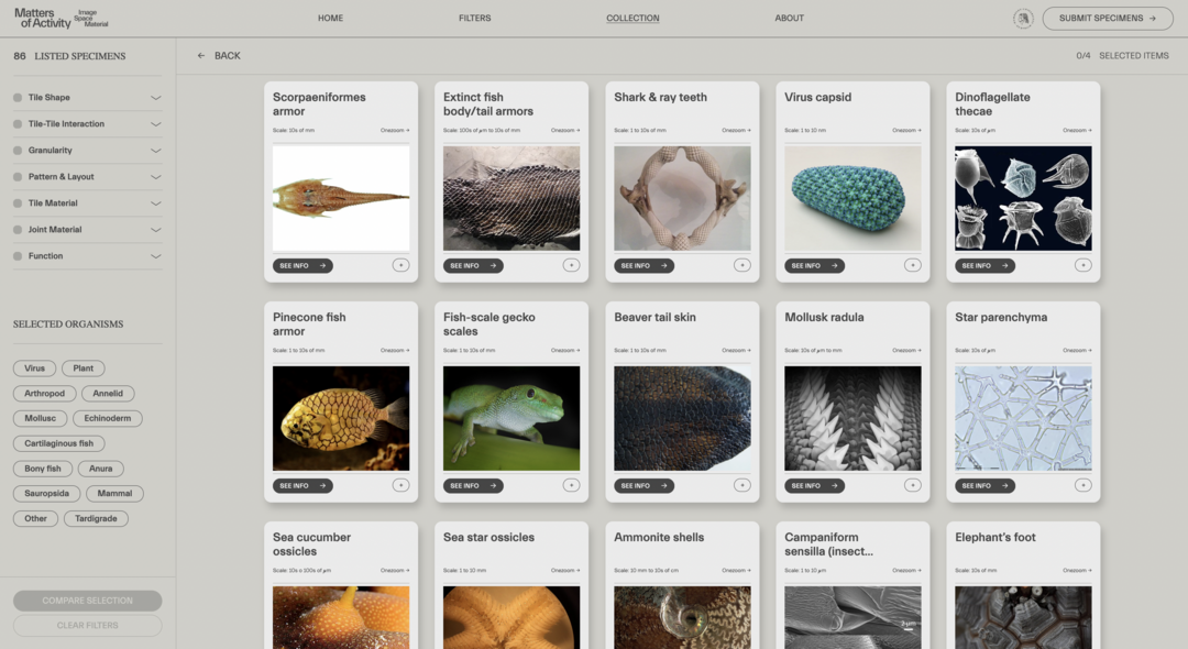 Collection Overview - Tessellation Archive. Copyright: Felix Rasehorn
