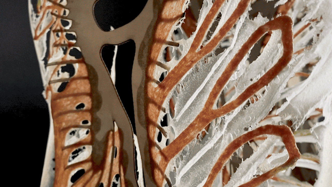 Unsteady Matter – Investigating Water-Based Design Pathways and 3D Printing Techniques for Hydrogel Composites. Copyright: Tairan (Aurora) Li, Daniel Suárez, Dr. Bastian Beyer
