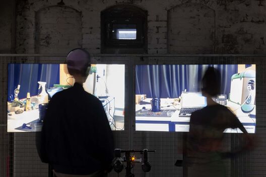 Blazing Heath/Heideglühen, Michaela Büsse, ZK/U – Zentrum für Kunst und Urbanistik, ＿matter Festival 2025. Photo: Michael Pfisterer 
