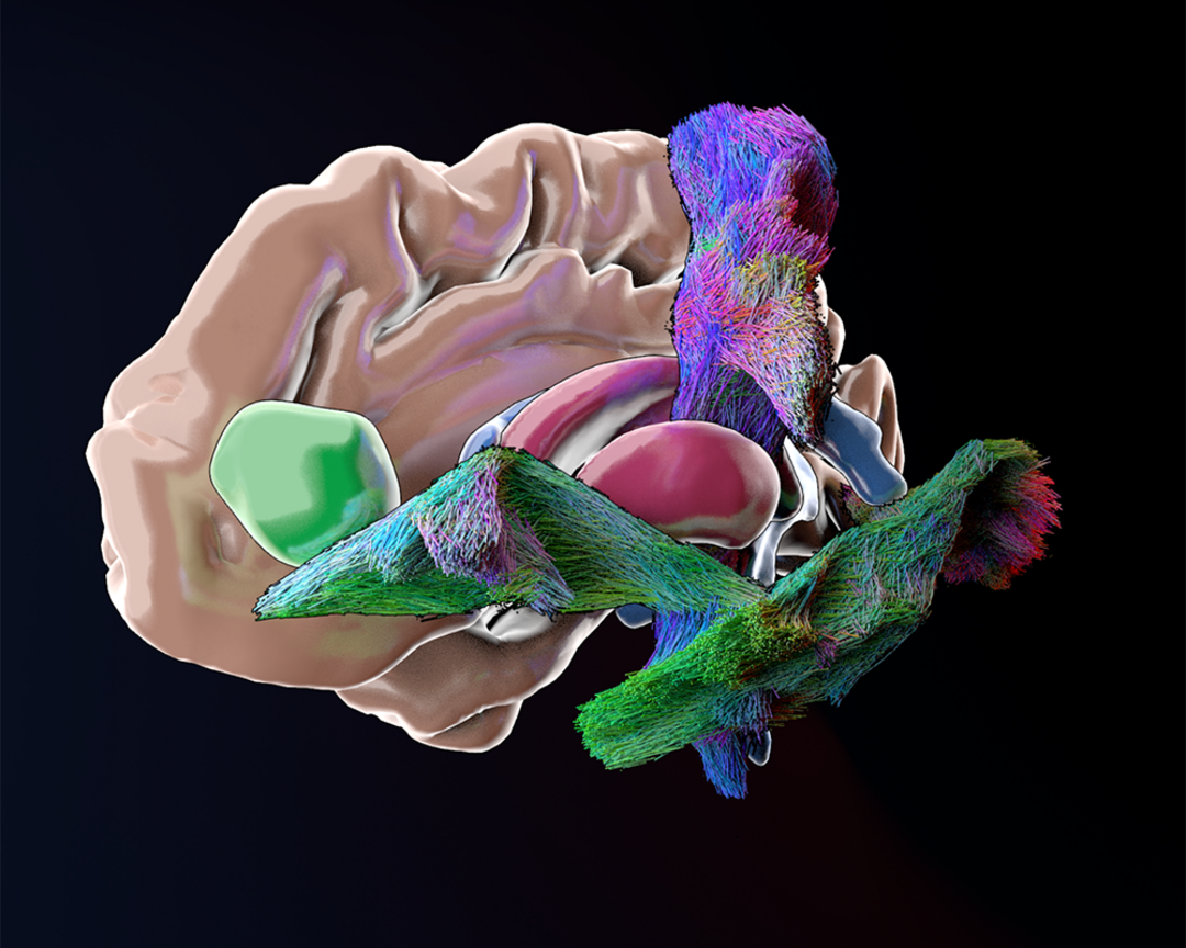 Adaptive Digital Twin. Copyright: Lucius Fekonja
