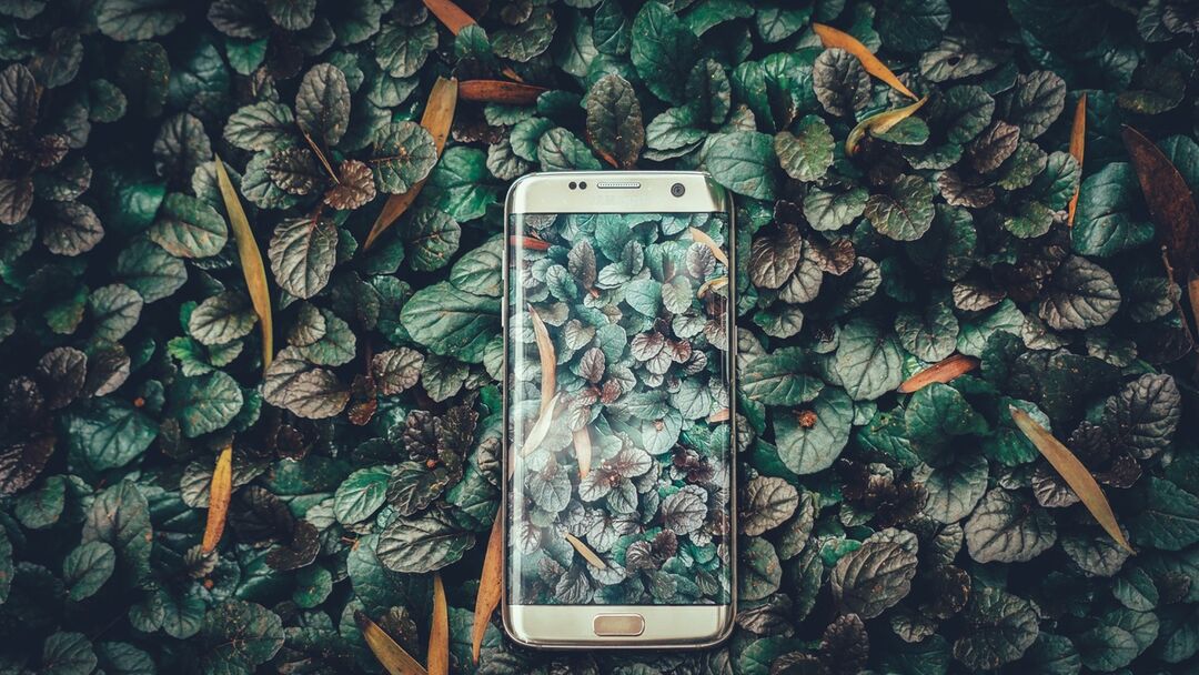 Teaserpicture DRHR2021. Copyright: Ravi Kumar / Unsplash.
