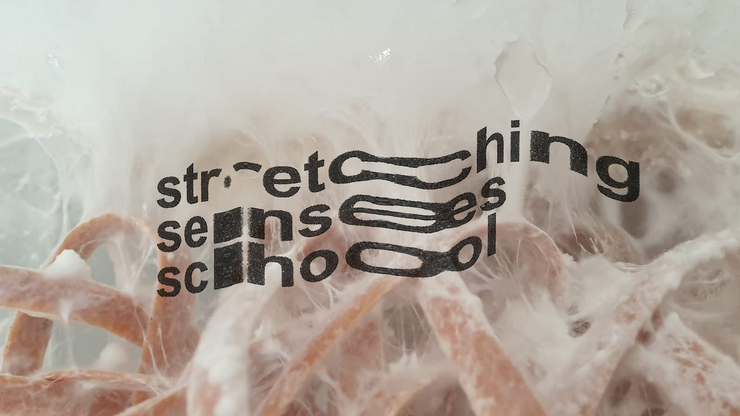 Stretching senses school logo with a photo of mycelium growing on willow, 2022. Copyright: Natalija Miodragovic & Dimitra Almpani-Lekka, Biomaterials Lab TU Berlin and MoA, 2022
