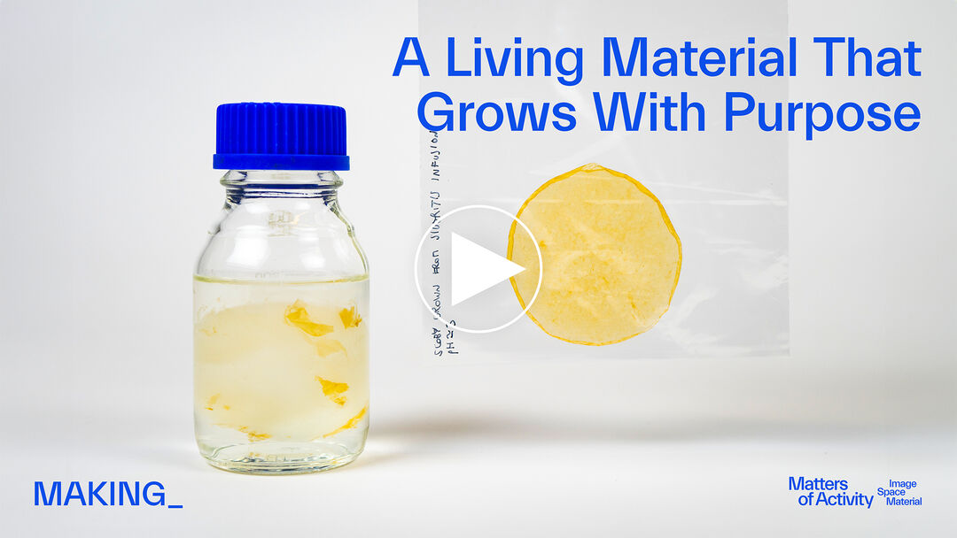 MAKING Scoby Grow with Emma Sicher. Copyright: Matters of Activity
